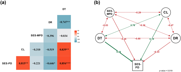 Phylogenetic diversity of eastern Asia–eastern North America disjunct plants is mainly associated with divergence time