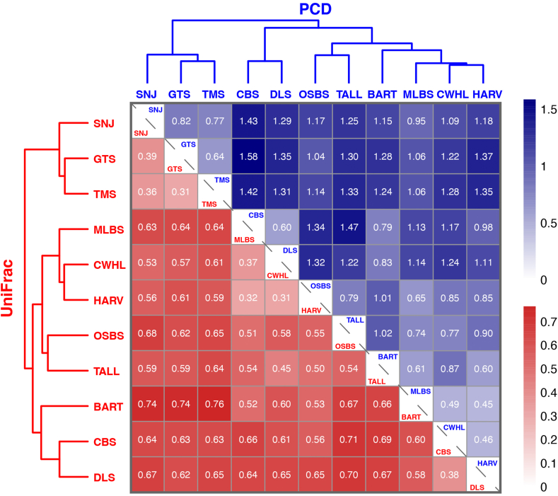 Phylogenetic diversity of eastern Asia–eastern North America disjunct plants is mainly associated with divergence time