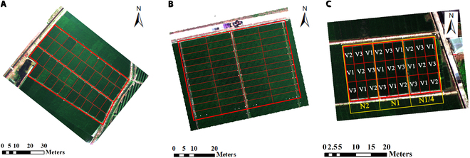 Estimation of Rice Aboveground Biomass by UAV Imagery with Photosynthetic Accumulation Models.