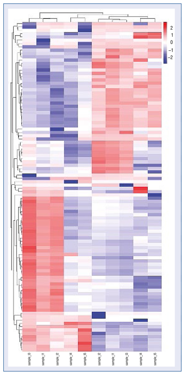 Proteomics analysis of coronary blood microparticles in patients with acute myocardial infarction.