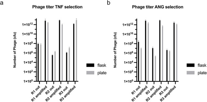 An easy-to-use high-throughput selection system for the discovery of recombinant protein binders from alternative scaffold libraries.