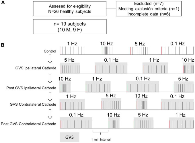 Post-activation depression of the Hoffman reflex is not altered by galvanic vestibular stimulation in healthy subjects.