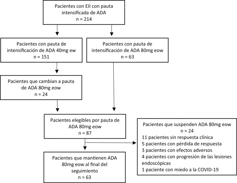 Treatment With Adalimumab 80 mg Every Other Week in Inflammatory Bowel Disease: Results of Treatment Intensification in Clinical Practice.