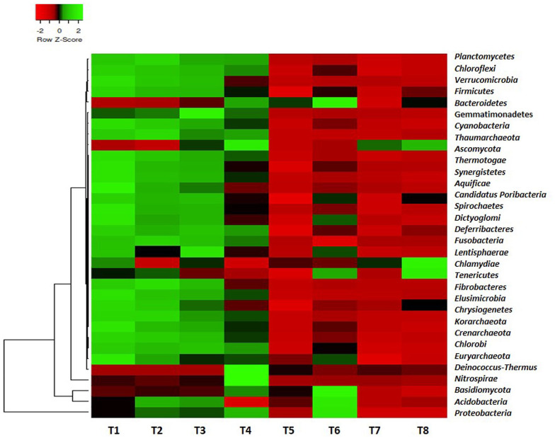 Metagenomics Reveals the Microbiome Multifunctionalities of Environmental Importance From Termite Mound Soils.