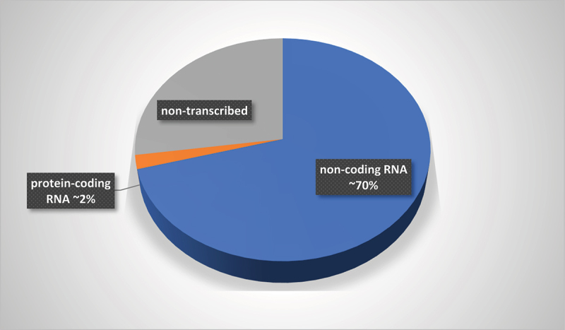 RNA-targeted small-molecule drug discoveries: a machine-learning perspective.