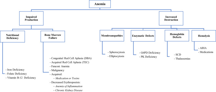 Anemia and Associated Risk Factors in Pediatric Patients.