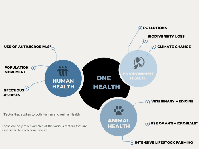 Antimicrobial Resistance (AMR).