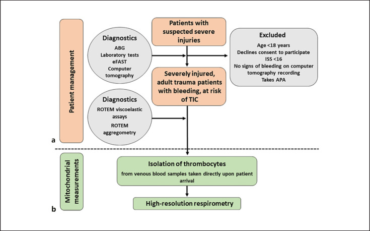 Mitochondrial Dysfunction in Trauma-Related Coagulopathy: Is There Causality? Study Protocol for a Prospective Observational Study.