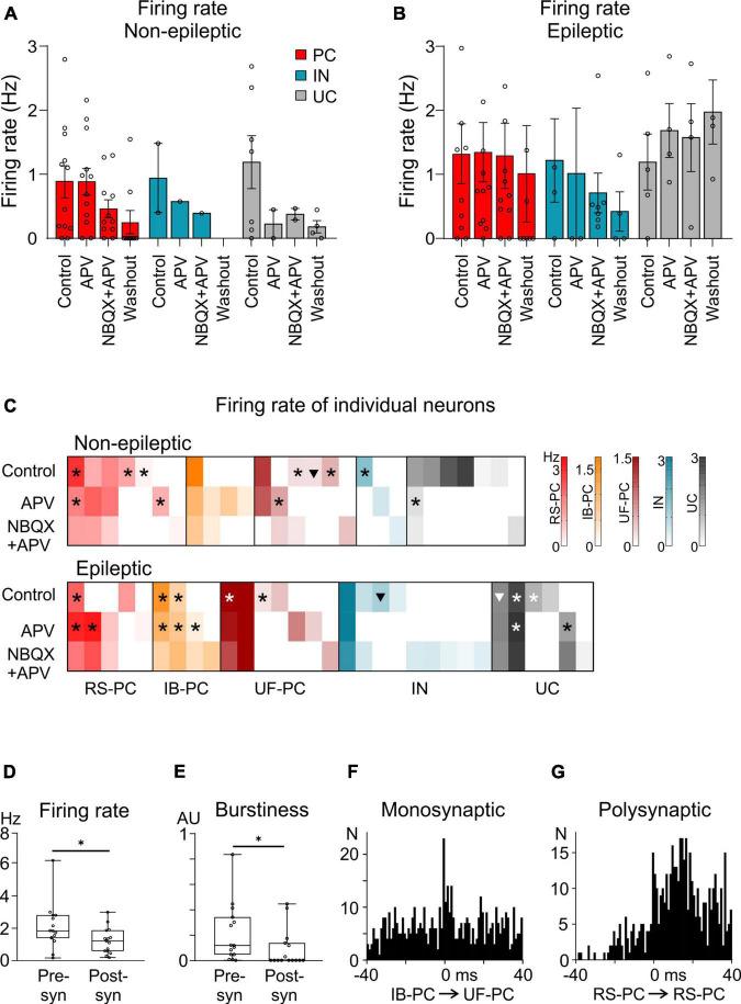 Synaptic alterations and neuronal firing in human epileptic neocortical excitatory networks.