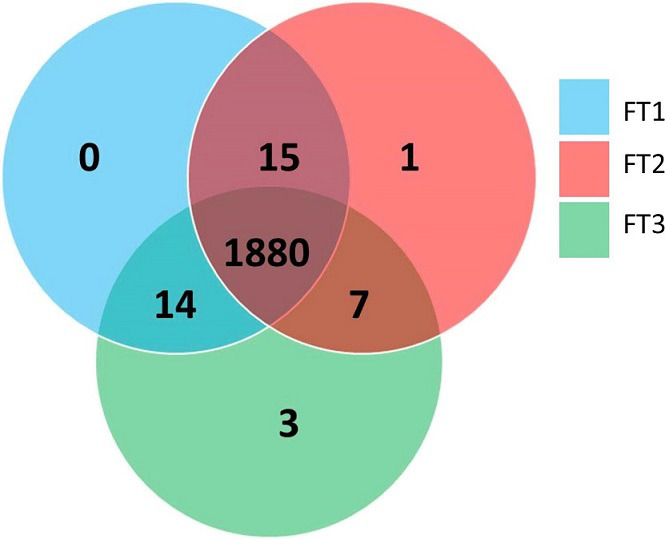 Characterization of three <i>Francisella tularensis</i> genomes from Oklahoma, USA.