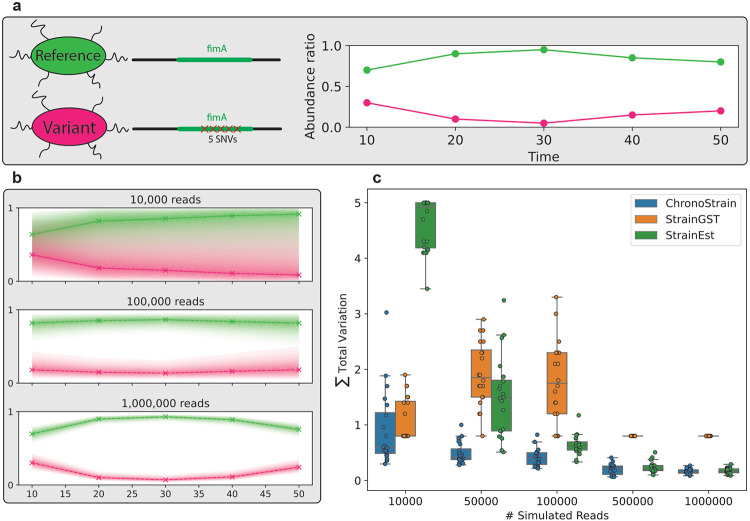 Strain tracking with uncertainty quantification.