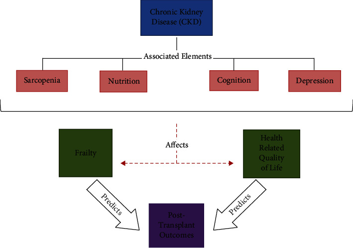 Frailty and Age-Associated Assessments Associated with Chronic Kidney Disease and Transplantation Outcomes.