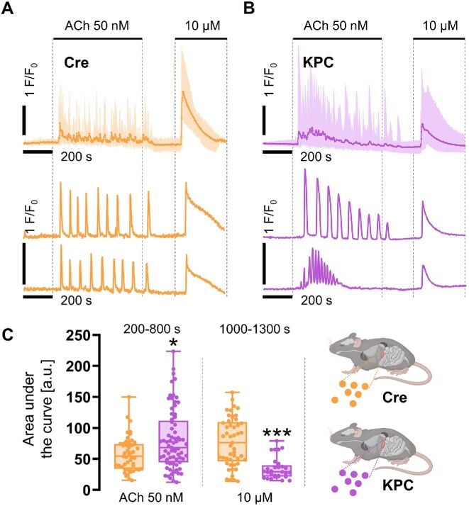 Driver Mutations of Pancreatic Cancer Affect Ca<sup>2+</sup> Signaling and ATP Production.