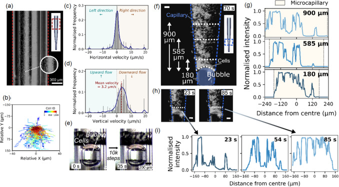 Microcapillary cell extrusion deposition with picolitre dispensing resolution.