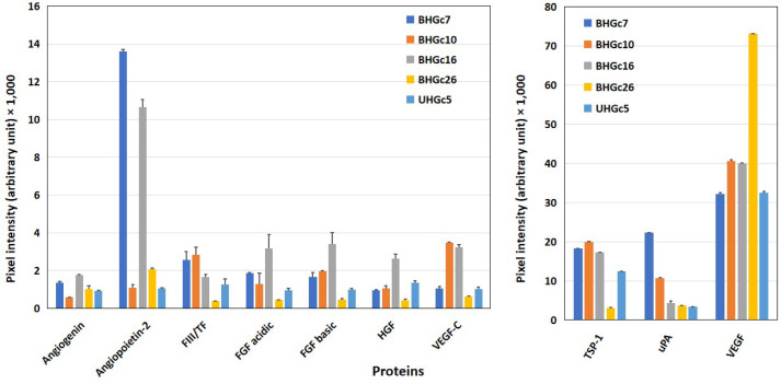 Small cell lung cancer: circulating tumor cell lines and expression of mediators of angiogenesis and coagulation.