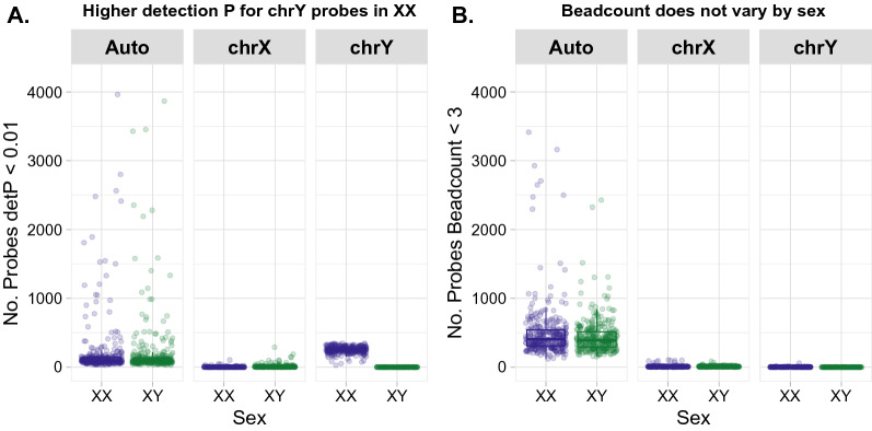 Who's afraid of the X? Incorporating the X and Y chromosomes into the analysis of DNA methylation array data.