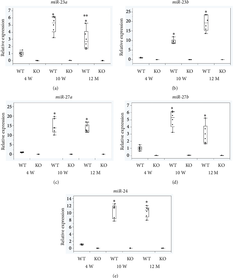 Deficiency of MicroRNA-23-27-24 Clusters Exhibits the Impairment of Myelination in the Central Nervous System.