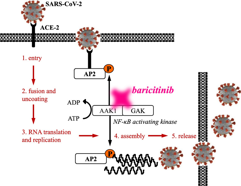 A review of Janus kinase inhibitors for the treatment of Covid-19 pneumonia.