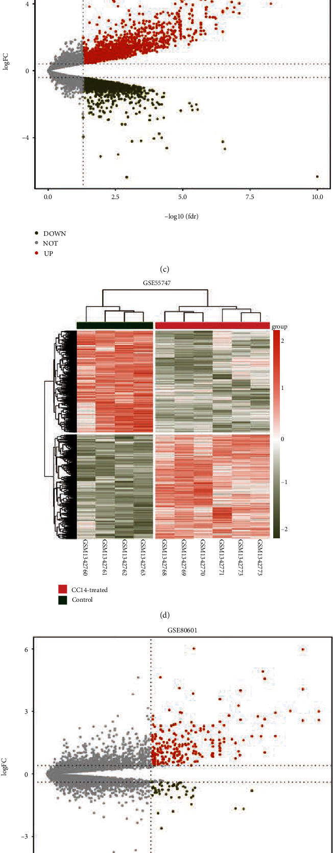 EMP1 as a Potential Biomarker in Liver Fibrosis: A Bioinformatics Analysis.