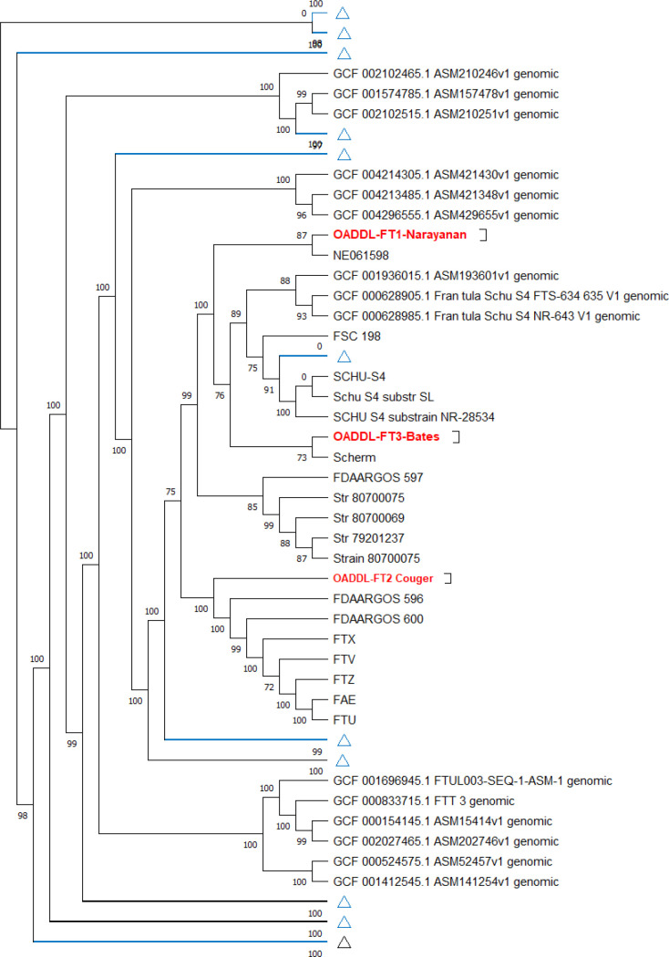 Characterization of three <i>Francisella tularensis</i> genomes from Oklahoma, USA.