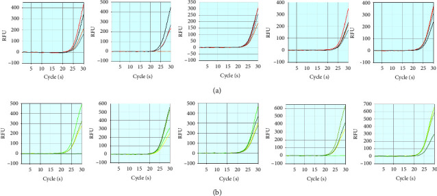 Fast and Sensitive Detection of SARS-CoV-2 Nucleic Acid Using a Rapid Detection System Free of RNA Extraction.