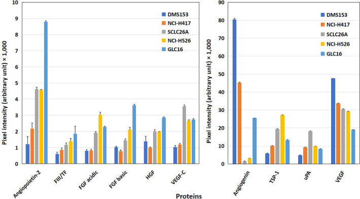 Small cell lung cancer: circulating tumor cell lines and expression of mediators of angiogenesis and coagulation.