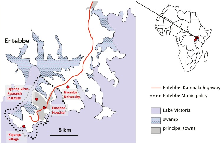 Establishing a single-sex controlled human <i>Schistosoma mansoni</i> infection model for Uganda: protocol for safety and dose-finding trial.