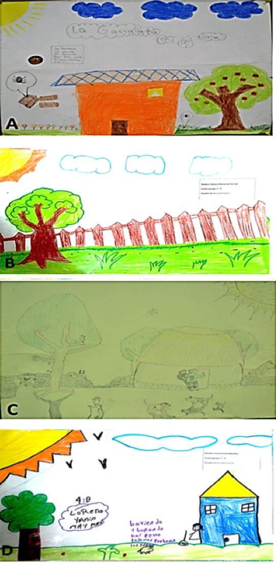 Perception of risk among children: Exploring the risk of TB-rickettsial disease based on the children's drawing pictures in a Mayan community of Yucatan.