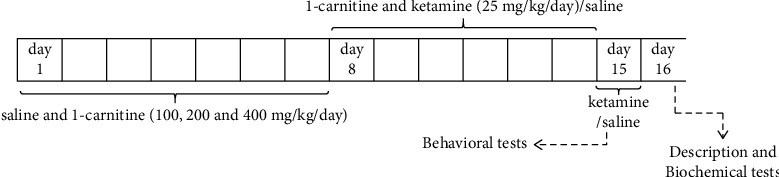 L-Carnitine Prevents Behavioural Alterations in Ketamine-Induced Schizophrenia in Mice: Possible Involvement of Oxidative Stress and Inflammation Pathways.