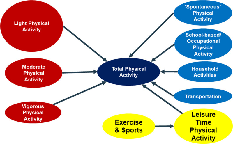 Genetic Pathways Underlying Individual Differences in Regular Physical Activity.