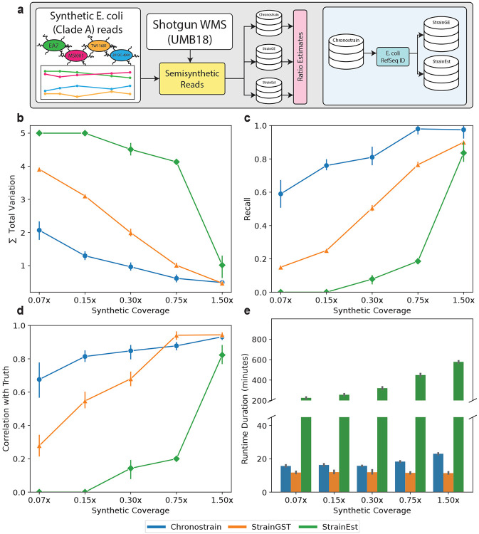 Strain tracking with uncertainty quantification.