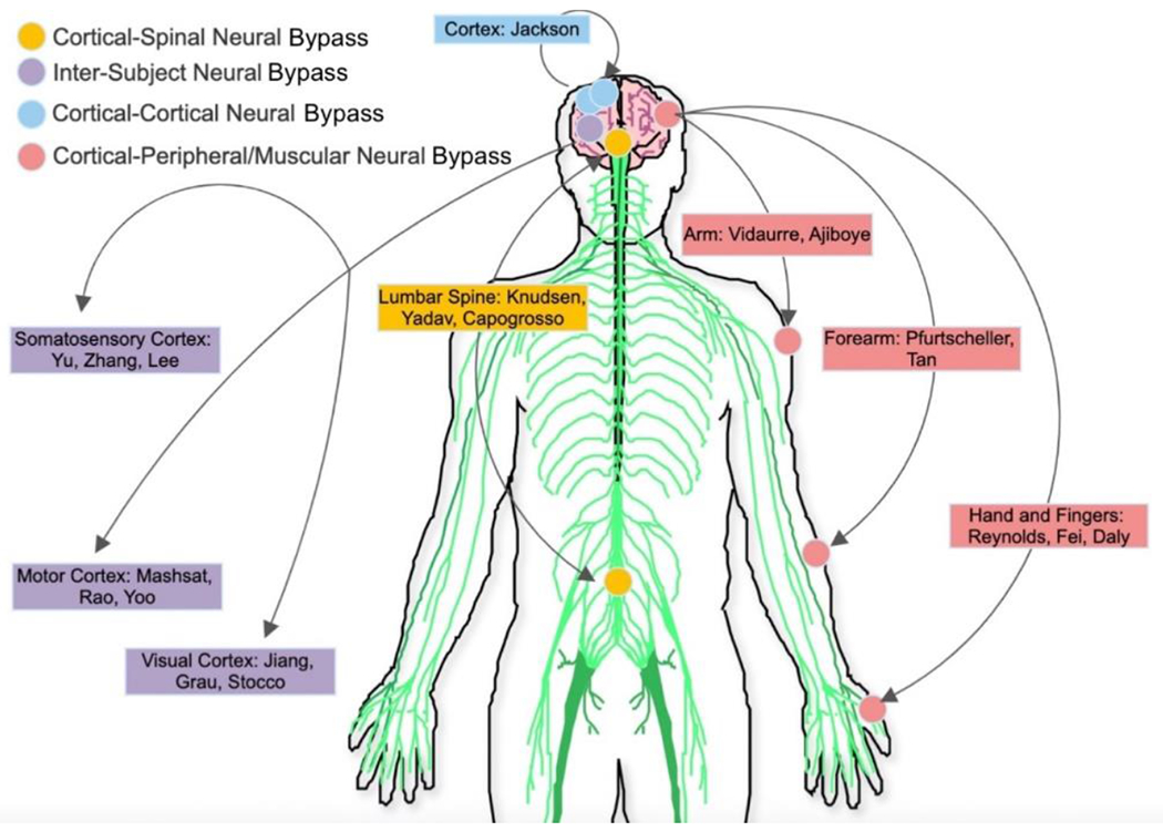 Neural Bypasses: Literature Review and Future Directions in Developing Artificial Neural Connections.