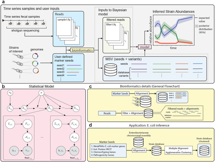 Strain tracking with uncertainty quantification.