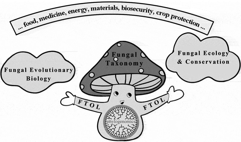 Fungal taxonomy: current status and research agendas for the interdisciplinary and globalisation era.