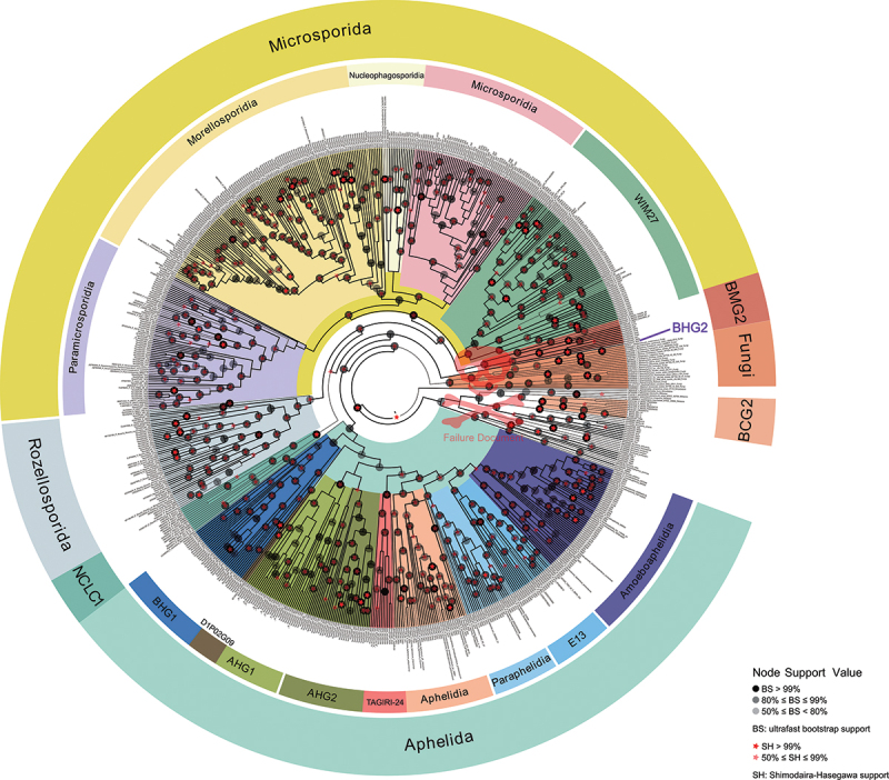 Niche and ecosystem preference of earliest diverging fungi in soils.