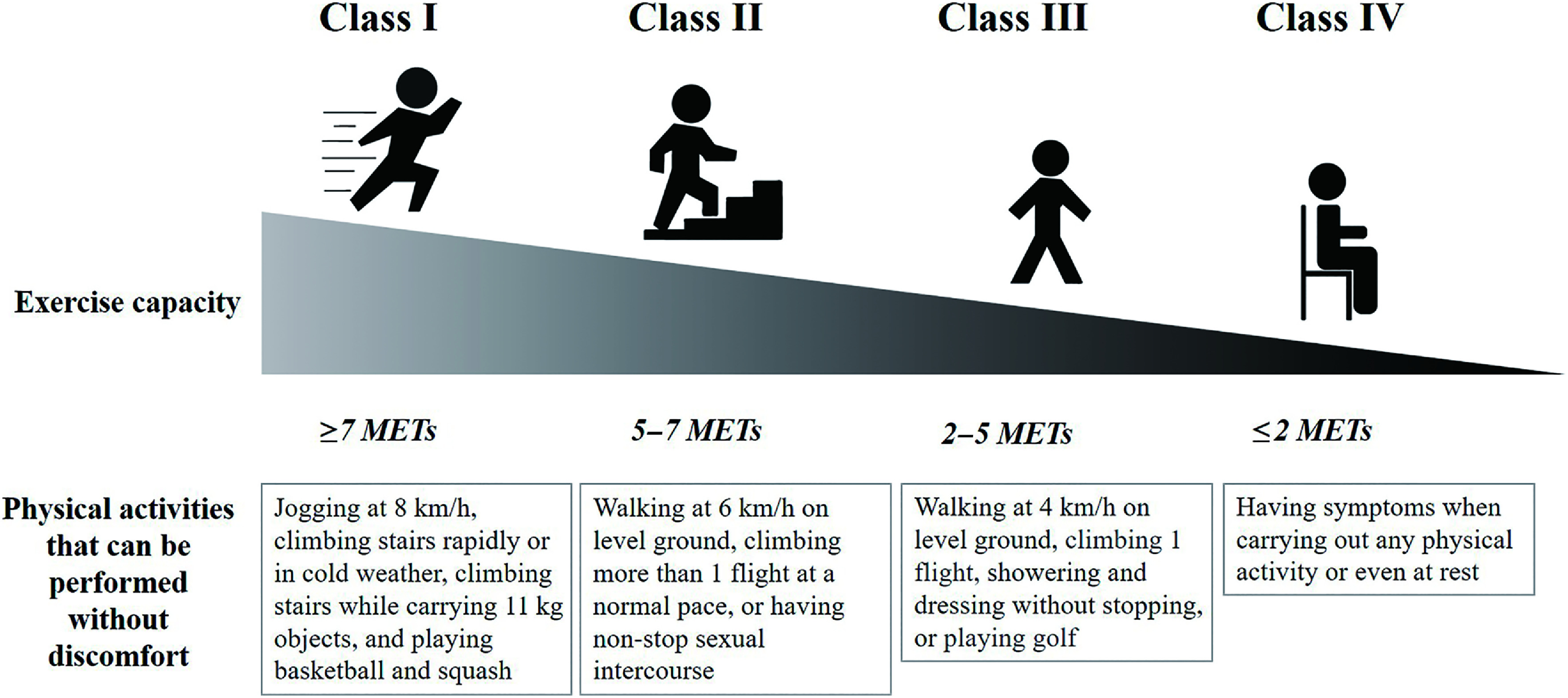 Physical Therapy for Adults with Heart Failure.