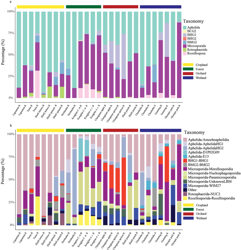 Niche and ecosystem preference of earliest diverging fungi in soils.