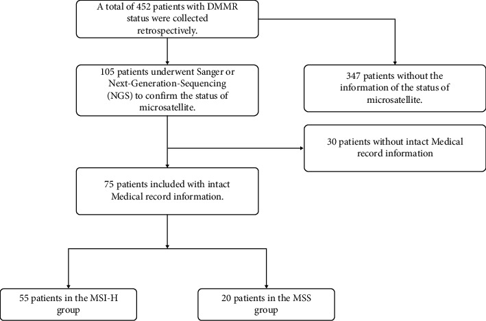 Are High Levels of Microsatellite Instability and Microsatellite Stability Identical in DNA Mismatch Repair-Deficient Colorectal Cancer Patients?