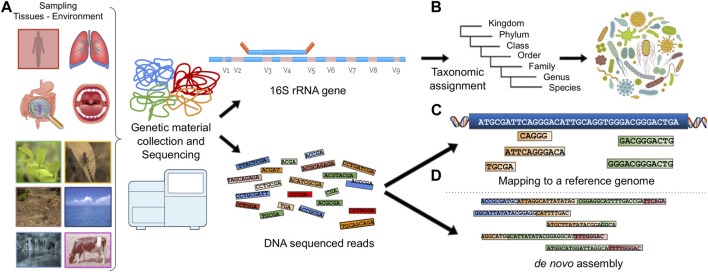 Exploring microbial functional biodiversity at the protein family level-From metagenomic sequence reads to annotated protein clusters.