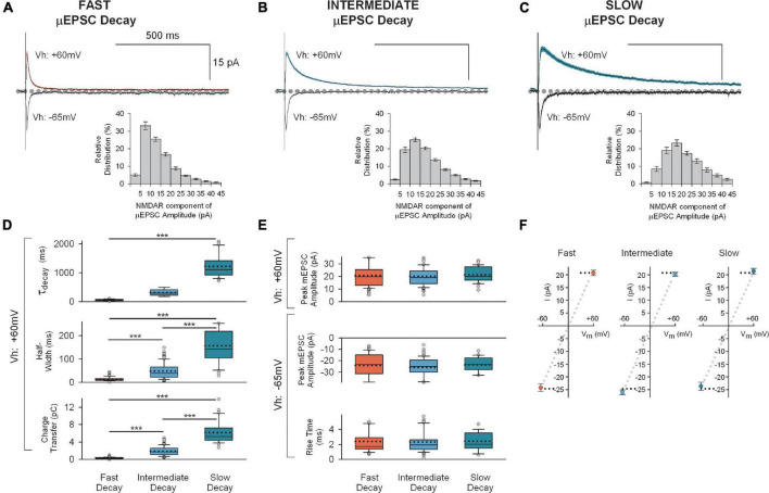 Synapse-specific diversity of distinct postsynaptic GluN2 subtypes defines transmission strength in spinal lamina I.