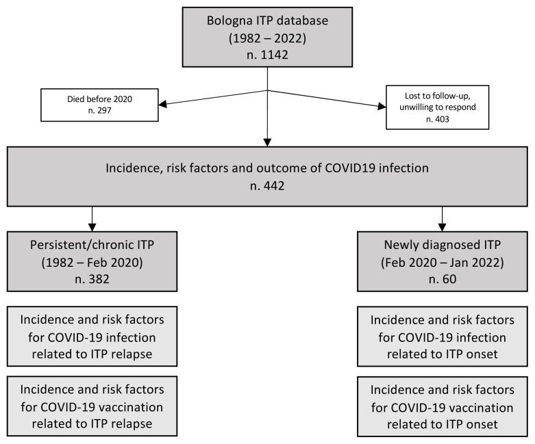 Immune Thrombocytopenia Onset and Relapse During the COVID-19 Pandemic. A Monocenter Study.