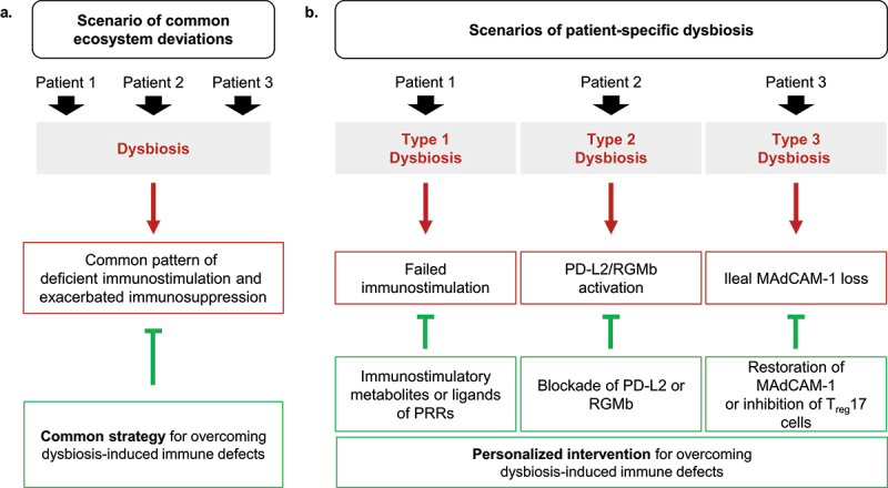 Microbiota-associated immunotherapy resistance caused by deficient PD-L2 - RGMb signaling.