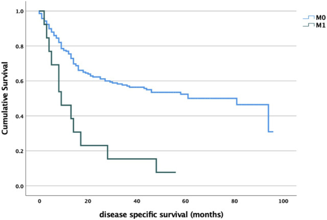 Patient delay and its clinical significance among head and neck cancer patients in Hungary.