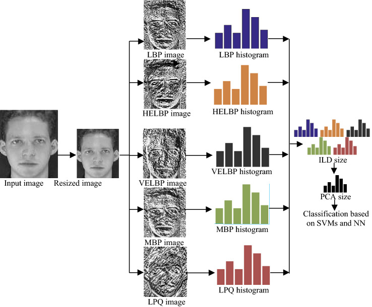 Improved local descriptor (ILD): a novel fusion method in face recognition.