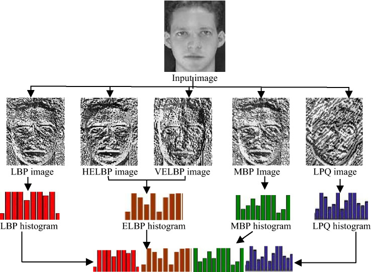 Improved local descriptor (ILD): a novel fusion method in face recognition.