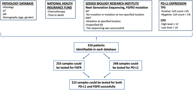 Correlation between fibroblast growth factor receptor mutation, programmed death ligand-1 expression and survival in urinary bladder cancer based on real-world data.