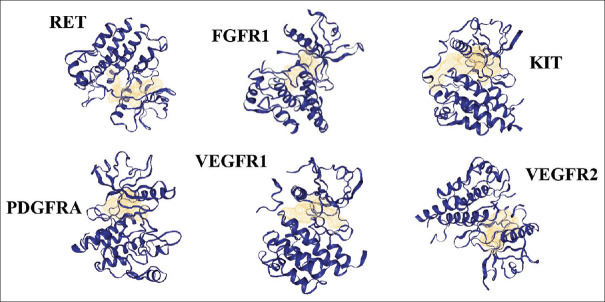 Computational approach in searching for dual action multitarget inhibitors for osteosarcoma.