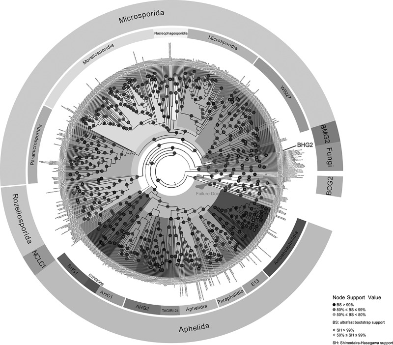 Niche and ecosystem preference of earliest diverging fungi in soils.