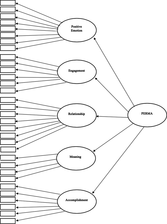 Application of the PERMA Model of Well-being in Undergraduate Students.