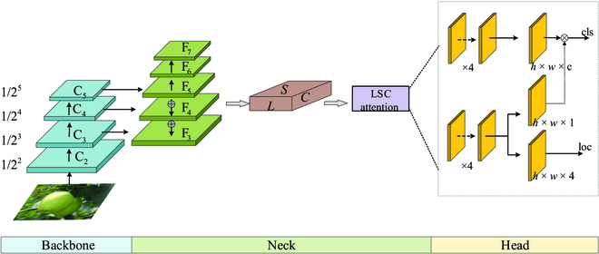 FCOS-LSC: A Novel Model for Green Fruit Detection in a Complex Orchard Environment.